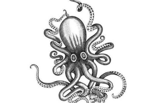 Зеркало kraken krakens16