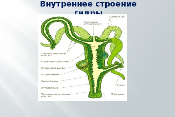 Пользователь не найден на кракене