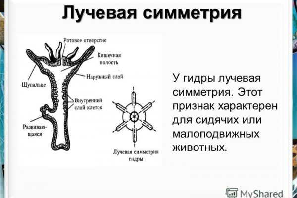 Как зайти на маркетплейс кракен